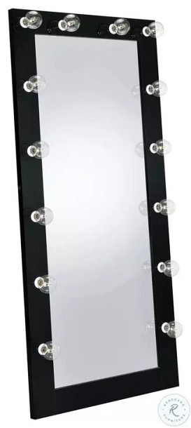                                                              							BLK HIGH GLOSS FLOOR MIRROR W/LIGHT...
                                                            						 